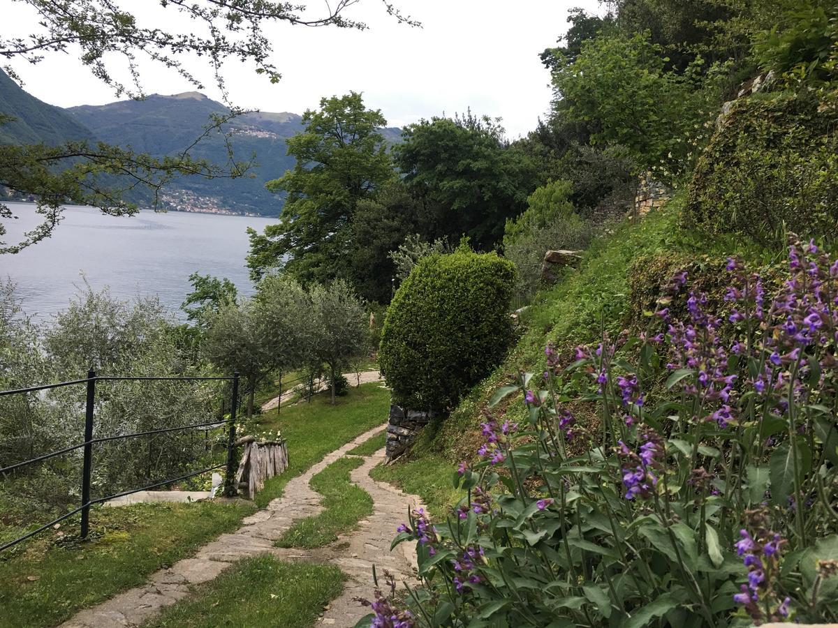 Castagna Holiday Home Nesso Exteriér fotografie
